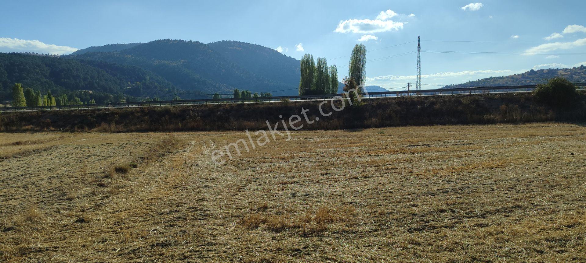 Fethiye Yoluna Sıfır 1820 M2 Yerleşime Sıfır Tarla — fotoğraf 10