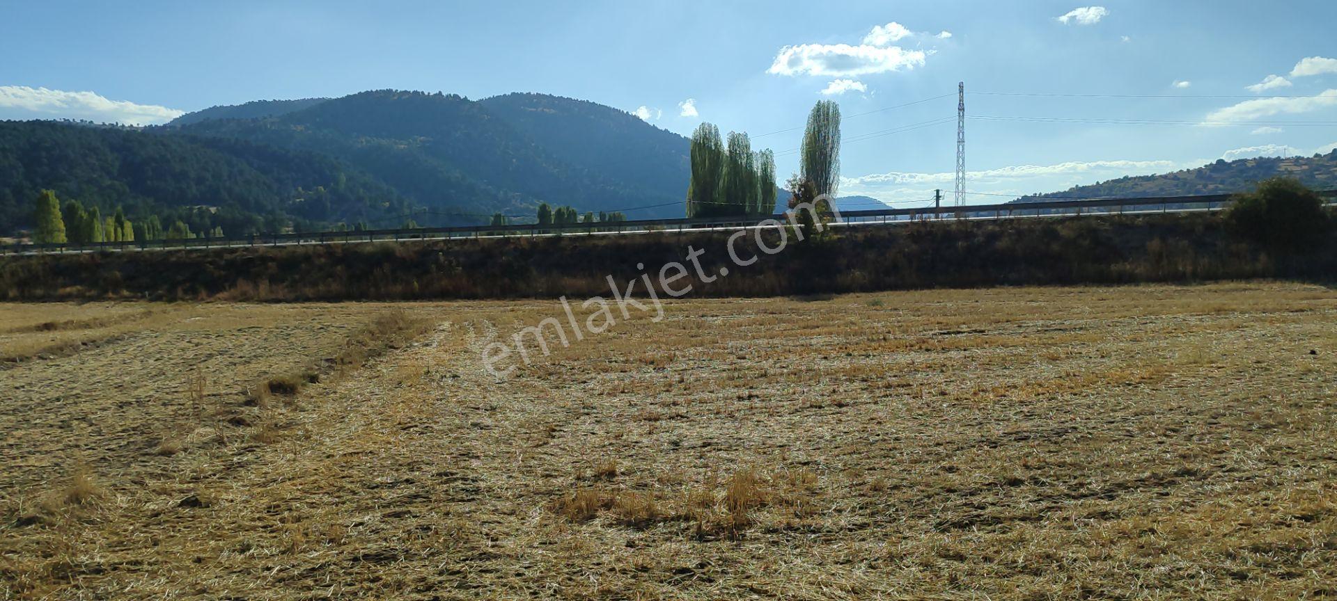 Fethiye Yoluna Sıfır 1820 M2 Yerleşime Sıfır Tarla — fotoğraf 11