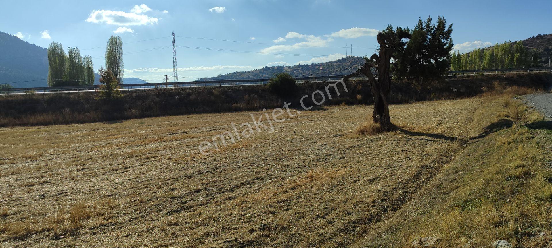 Fethiye Yoluna Sıfır 1820 M2 Yerleşime Sıfır Tarla — fotoğraf 12