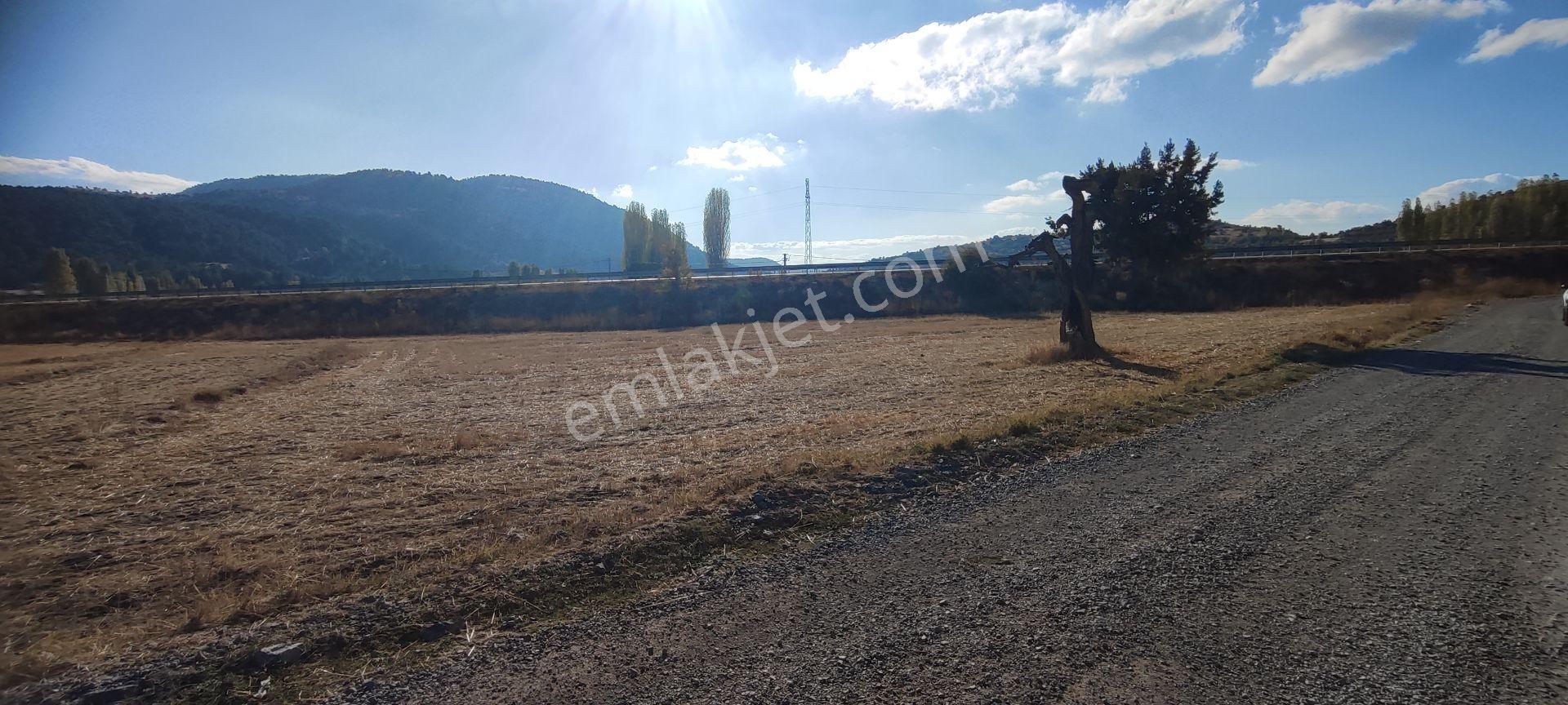 Fethiye Yoluna Sıfır 1820 M2 Yerleşime Sıfır Tarla — fotoğraf 14