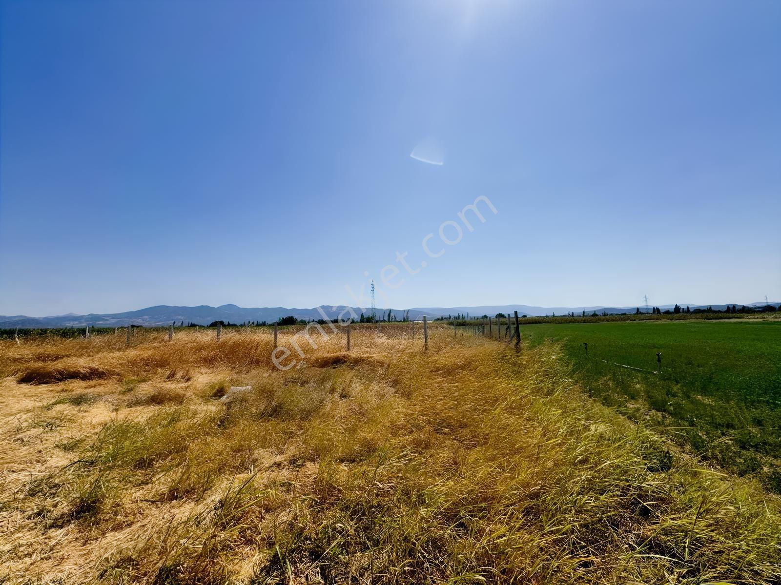 Koçerlerden Çorukta 14.000M2 Satılık Tarım Arazisi