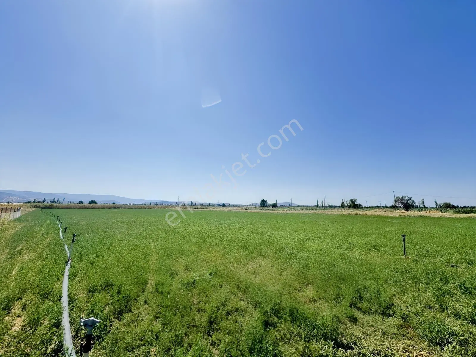 Koçerlerden Çorukta 14.000m2 Satılık Tarım Arazisi — fotoğraf 2