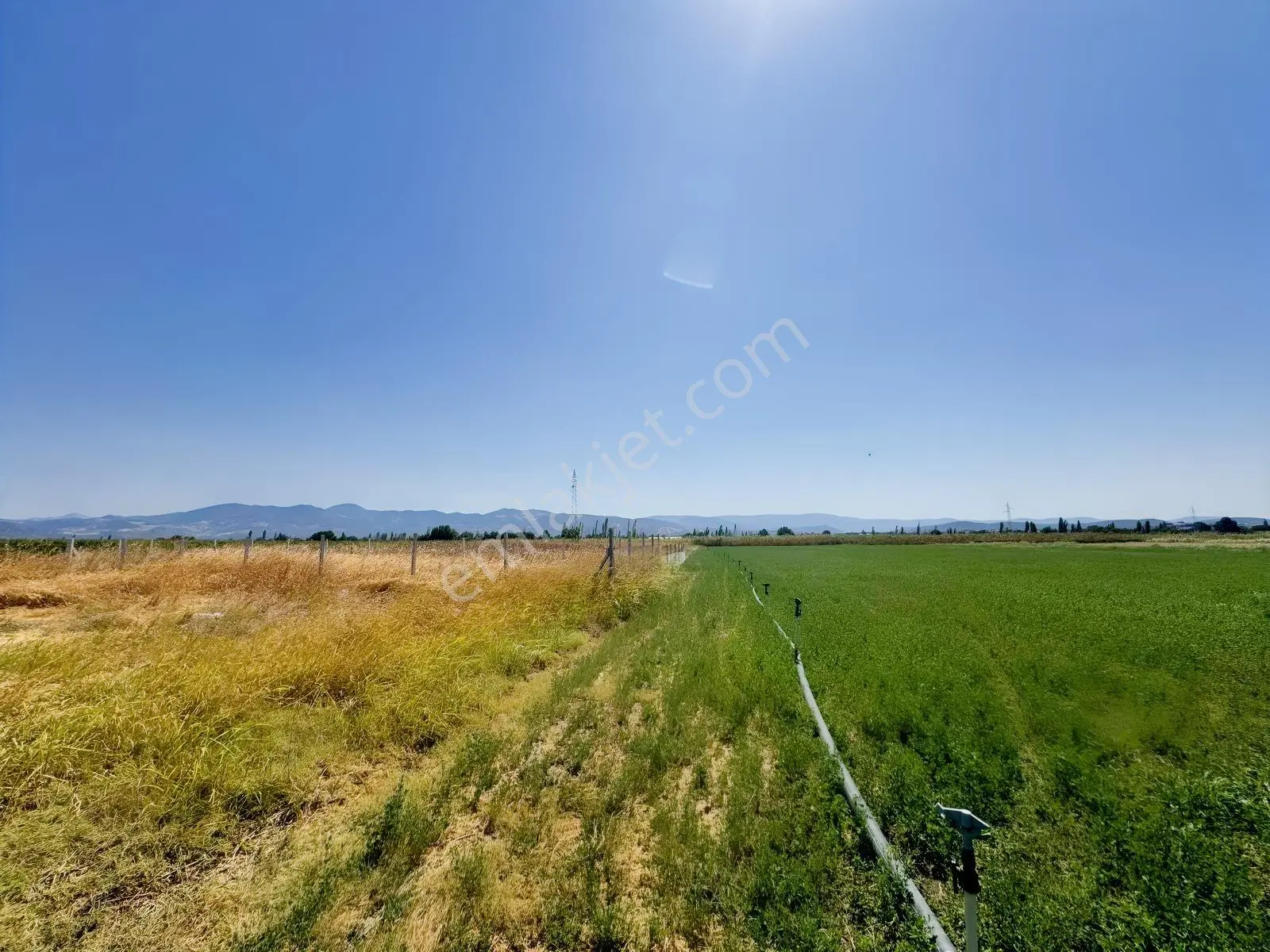Koçerlerden Çorukta 14.000m2 Satılık Tarım Arazisi — fotoğraf 3