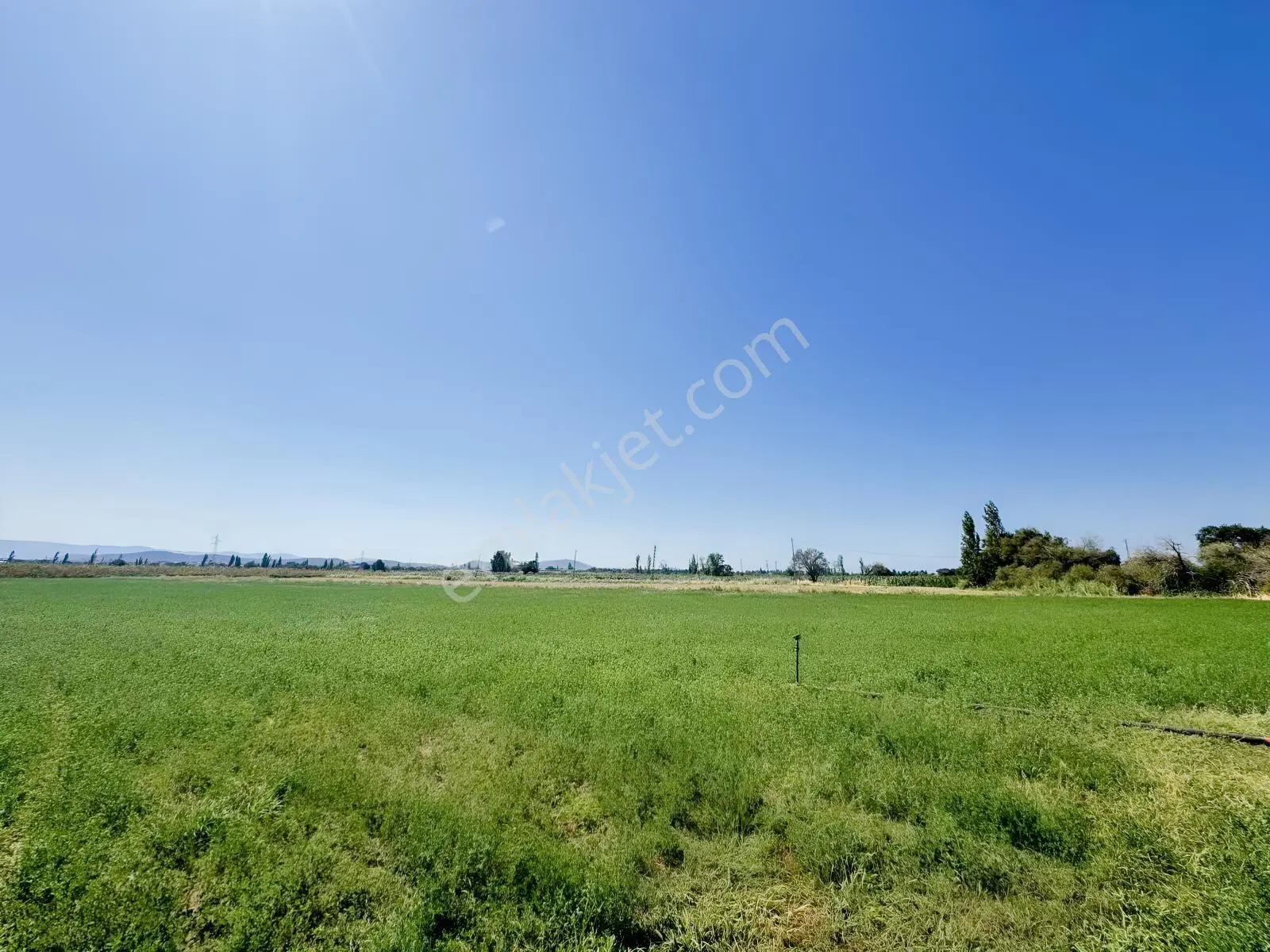 Koçerlerden Çorukta 14.000m2 Satılık Tarım Arazisi — fotoğraf 4