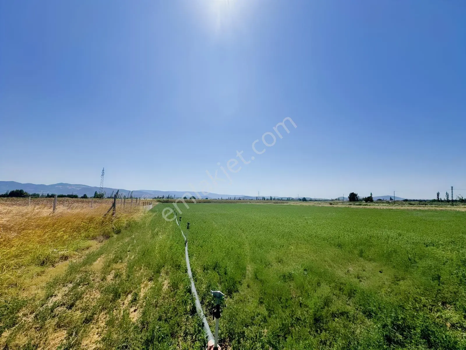Koçerlerden Çorukta 14.000m2 Satılık Tarım Arazisi — fotoğraf 5