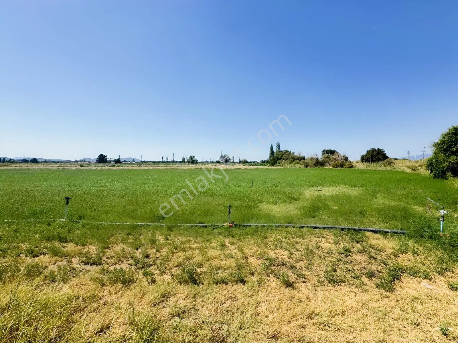 Koçerlerden Çorukta 14.000m2 Satılık Tarım Arazisi — fotoğraf 6