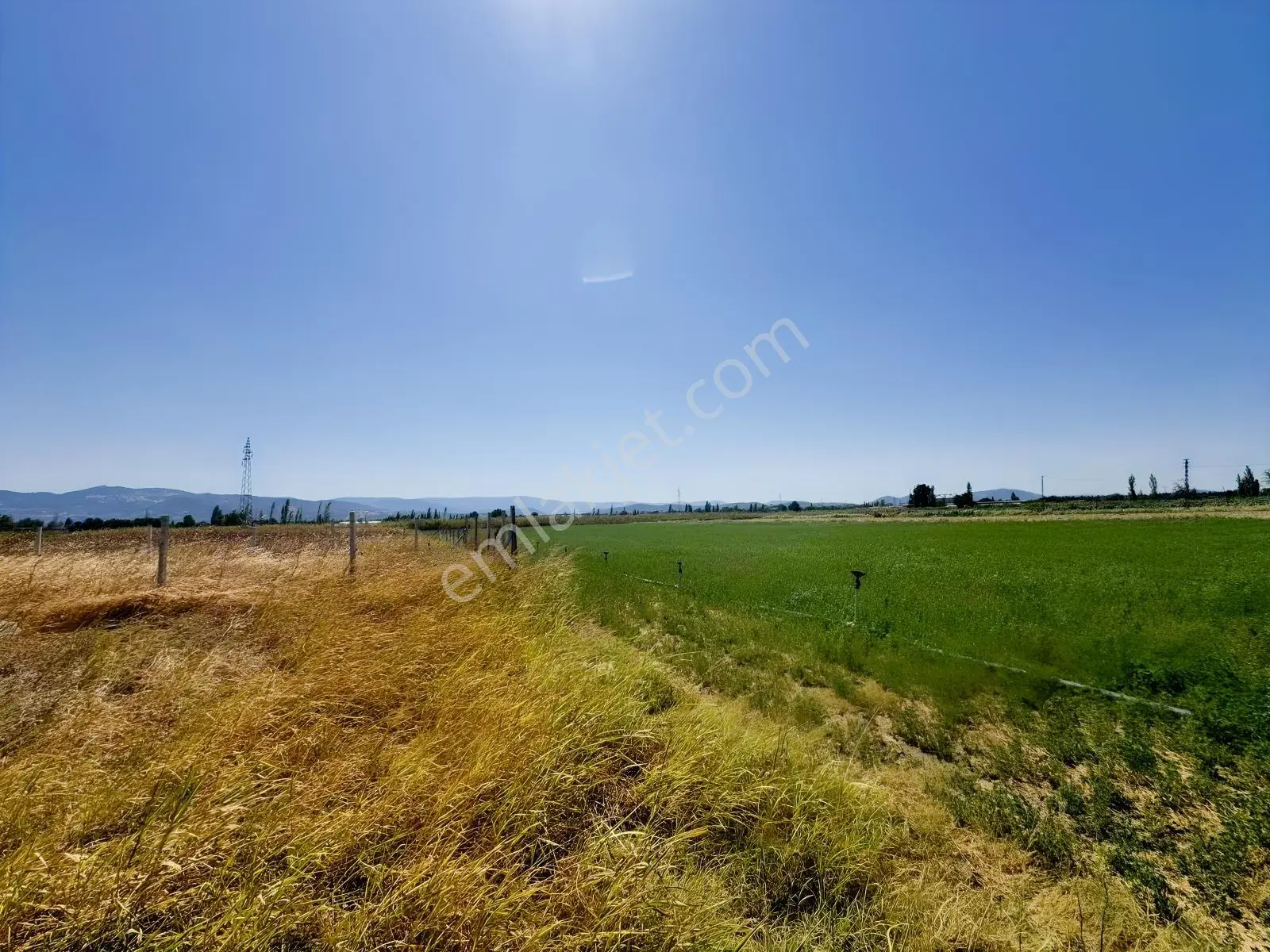 Koçerlerden Çorukta 14.000m2 Satılık Tarım Arazisi — fotoğraf 7
