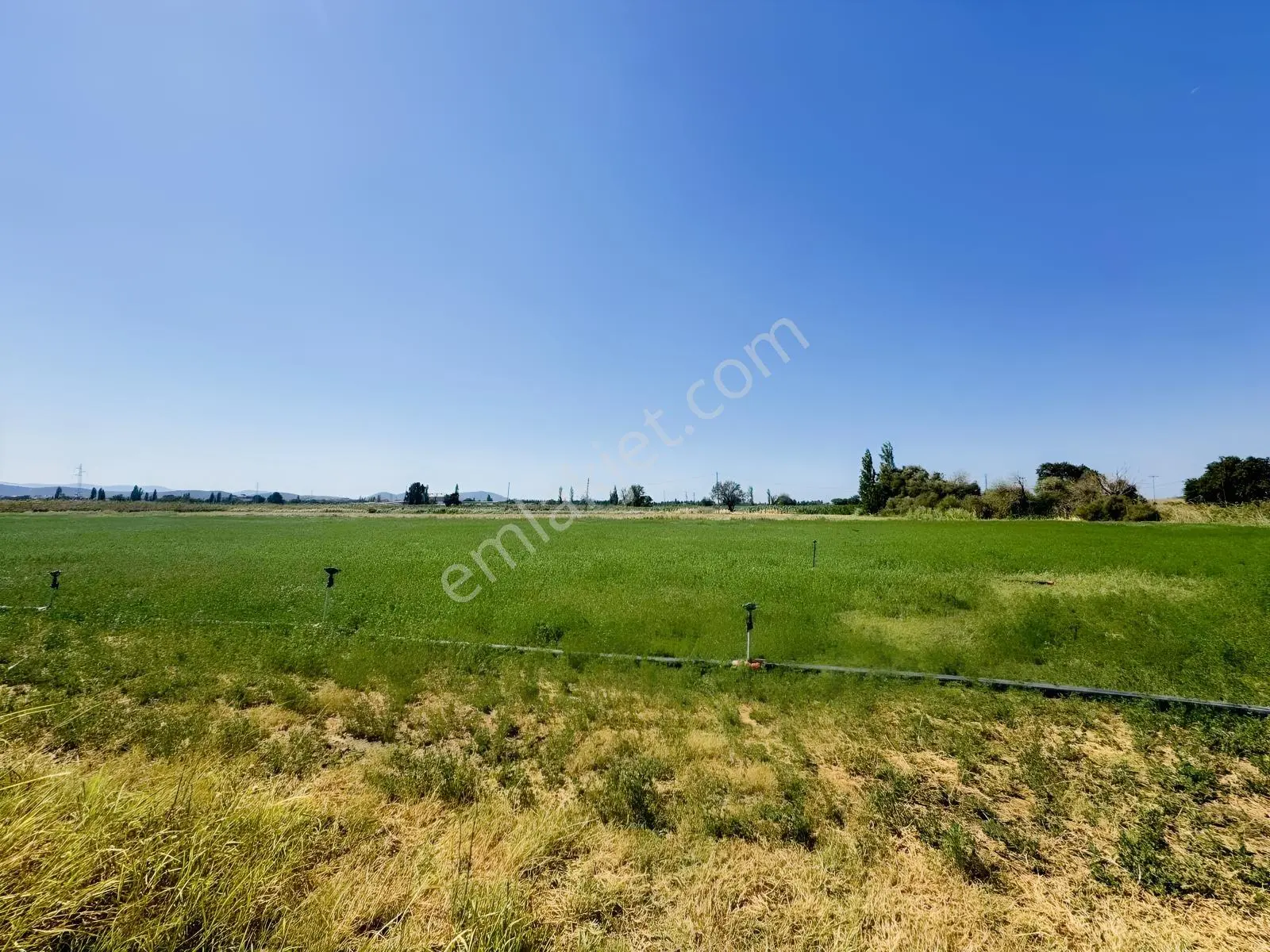 Koçerlerden Çorukta 14.000m2 Satılık Tarım Arazisi — fotoğraf 9