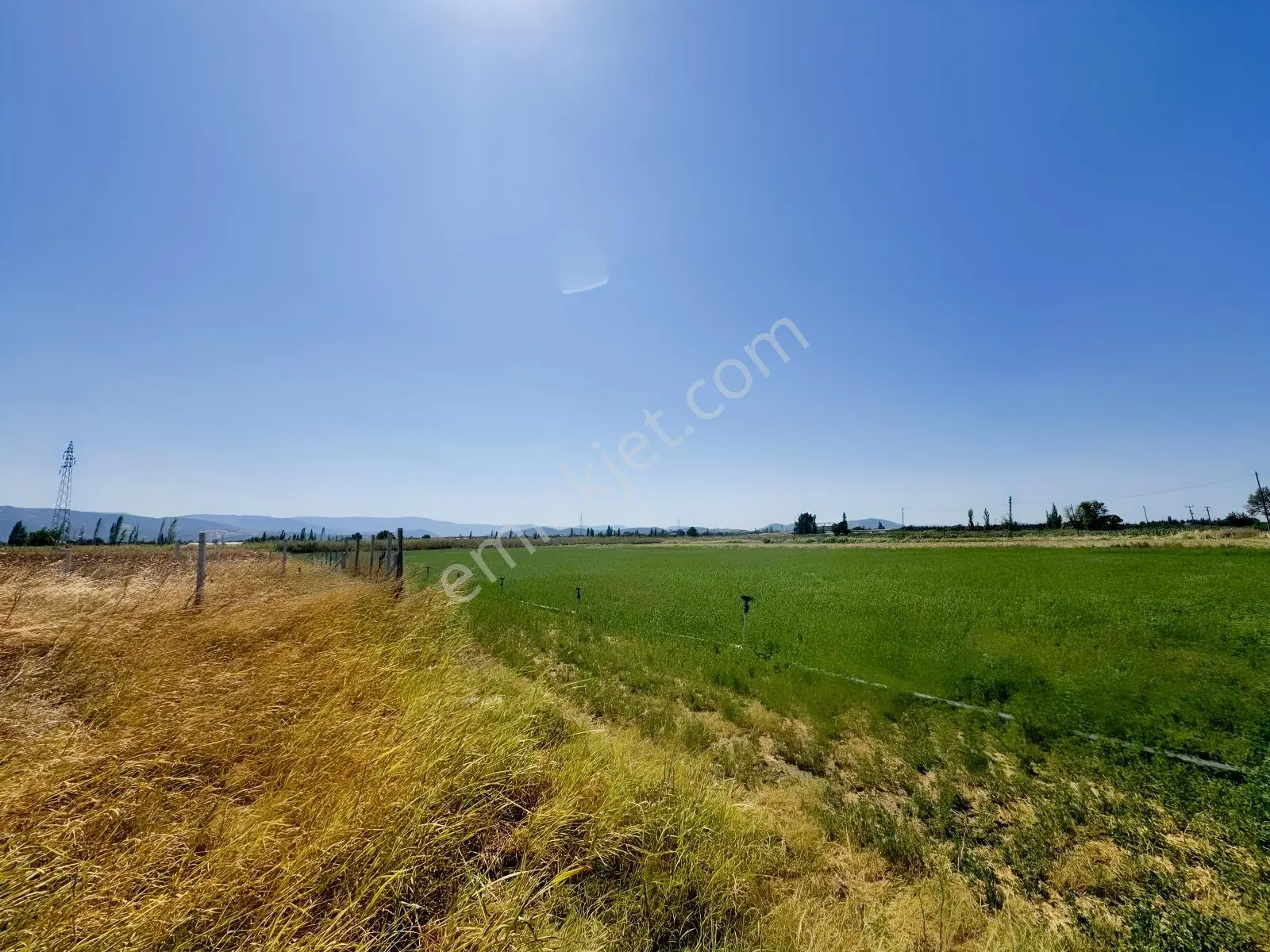 Koçerlerden Çorukta 14.000m2 Satılık Tarım Arazisi — fotoğraf 10