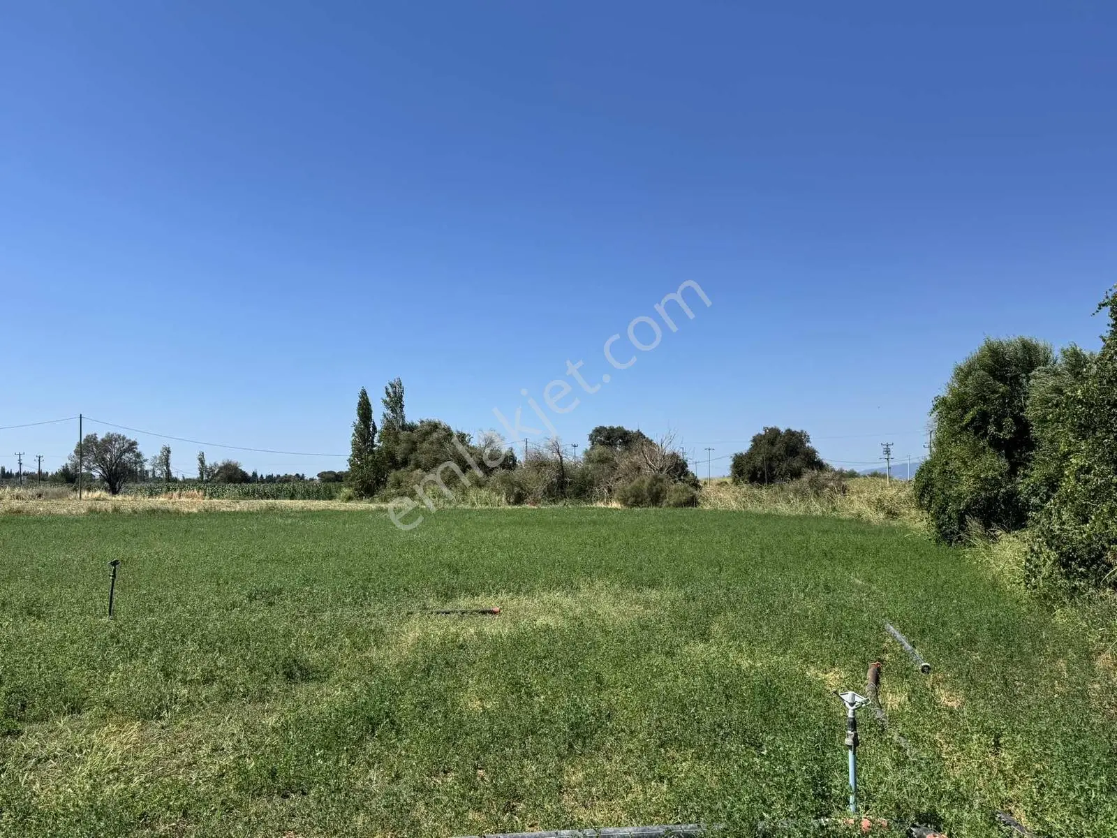 Koçerlerden Çorukta 14.000m2 Satılık Tarım Arazisi — fotoğraf 11