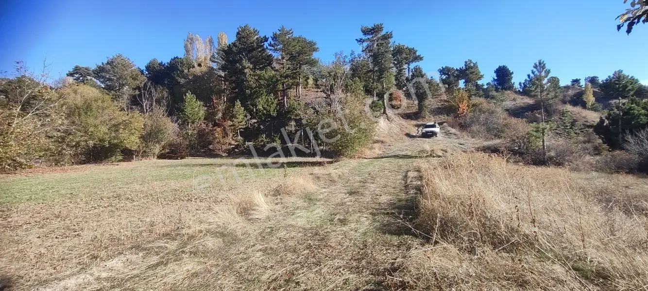 Çameli Kınıkyerinde Bu Fiyata Kaçırılmayacak Tarla — fotoğraf 2