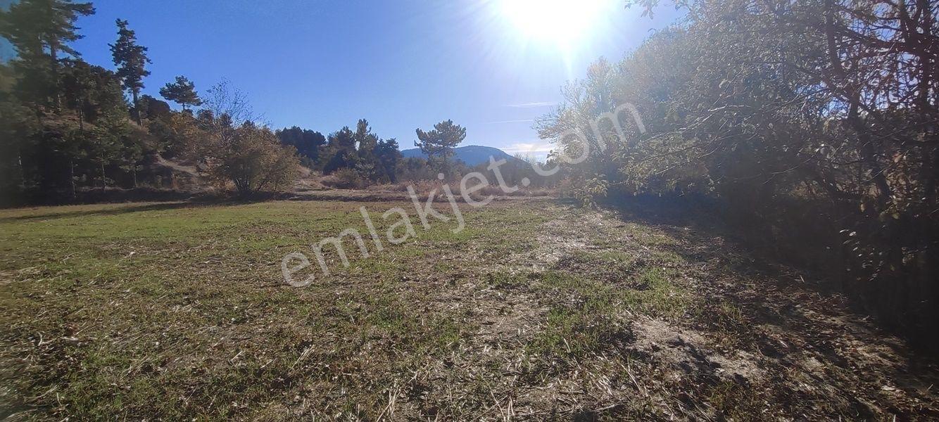 Çameli Kınıkyerinde Bu Fiyata Kaçırılmayacak Tarla — fotoğraf 8