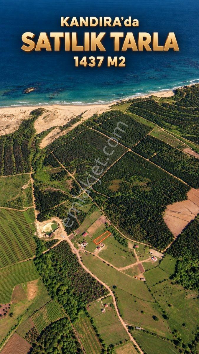 Kandıra Çamkonakta 1.437 M² Yatırımlık Tarla | Fırsat Parsel — fotoğraf 4