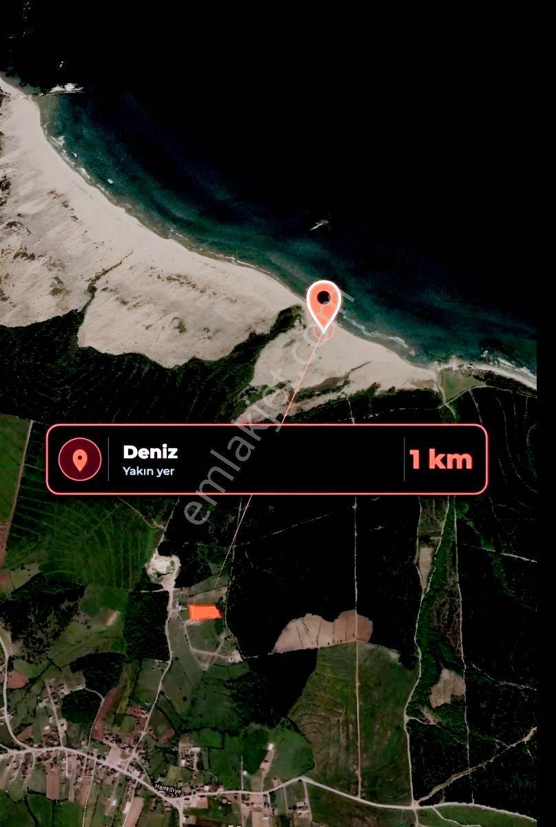 Kandıra Çamkonakta 1.437 M² Yatırımlık Tarla | Fırsat Parsel — fotoğraf 6