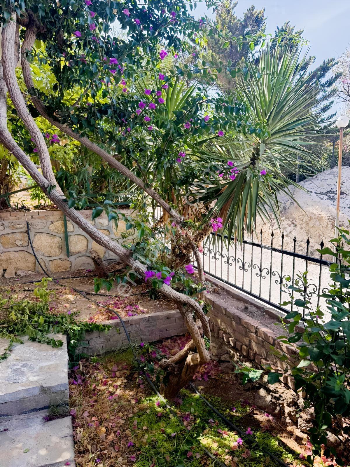 Yalıkavak Sandima Evleri 250 M2 Bahçe, Manzaralı ,müstakil — fotoğraf 9