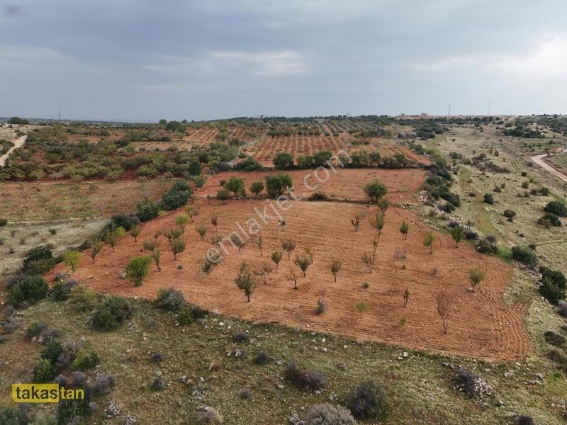 İncesuda Zirvede Konum, Tek Tapu 4.767 M² Arazi! — fotoğraf 3