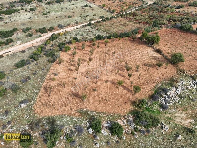İncesuda Zirvede Konum, Tek Tapu 4.767 M² Arazi! — fotoğraf 5