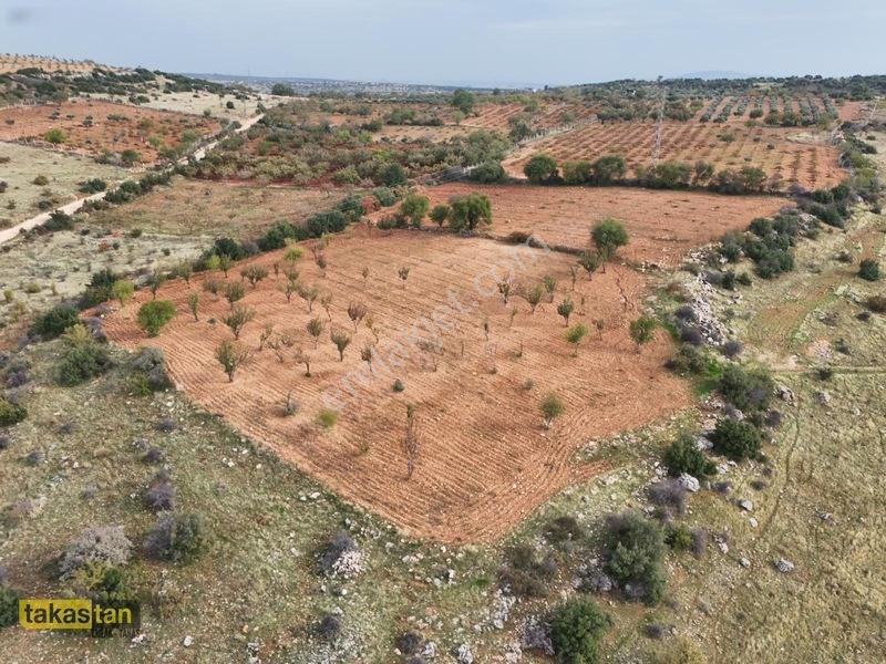 İncesuda Zirvede Konum, Tek Tapu 4.767 M² Arazi! — fotoğraf 9