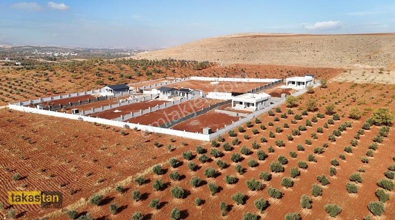 Suboğazı İmar Yakını Etrafı Çevrili Şehre 10 Dk Fırsat Arazi