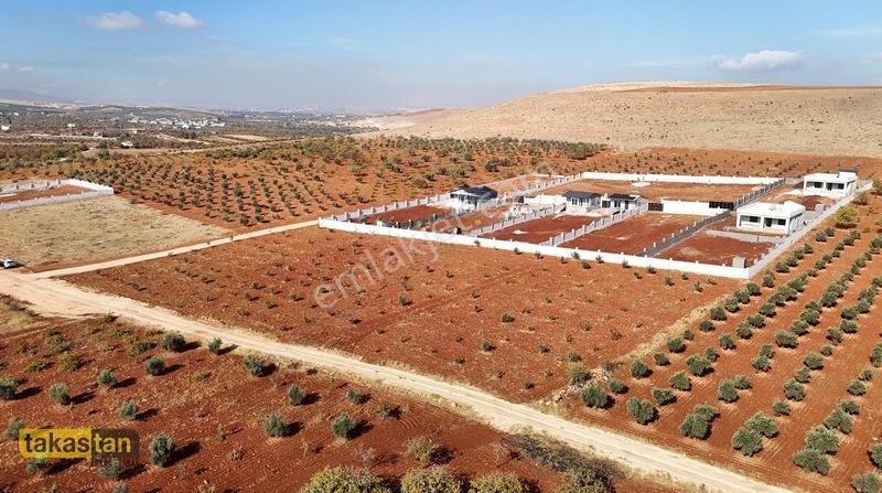 Suboğazı İmar Yakını Etrafı Çevrili Şehre 10 Dk Fırsat Arazi — fotoğraf 2