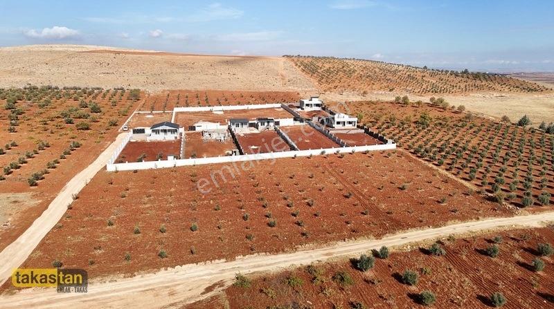 Suboğazı İmar Yakını Etrafı Çevrili Şehre 10 Dk Fırsat Arazi — fotoğraf 3