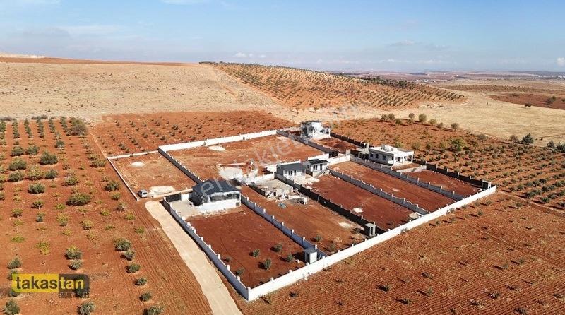 Suboğazı İmar Yakını Etrafı Çevrili Şehre 10 Dk Fırsat Arazi — fotoğraf 4