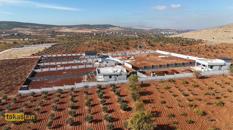Suboğazı İmar Yakını Etrafı Çevrili Şehre 10 Dk Fırsat Arazi — fotoğraf 6