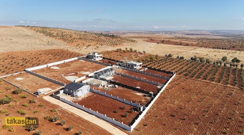 Suboğazı İmar Yakını Etrafı Çevrili Şehre 10 Dk Fırsat Arazi — fotoğraf 7