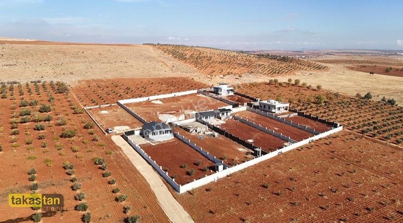Suboğazı İmar Yakını Etrafı Çevrili Şehre 10 Dk Fırsat Arazi — fotoğraf 10