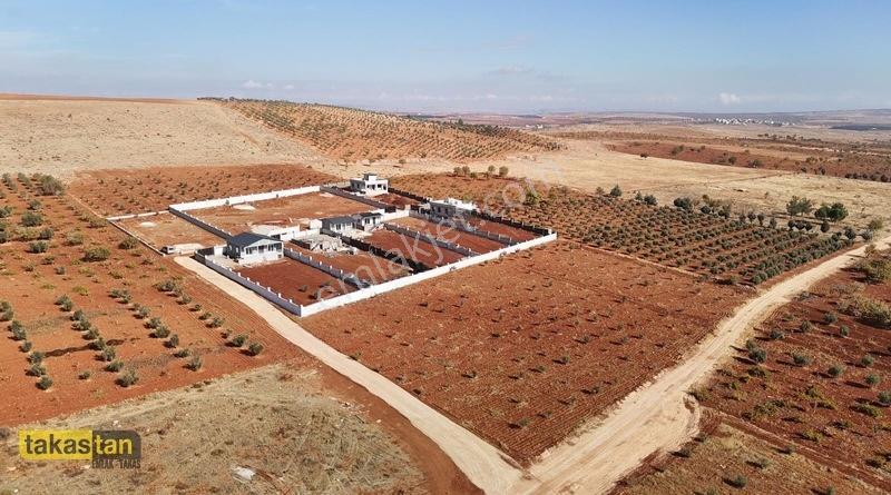 Suboğazı İmar Yakını Etrafı Çevrili Şehre 10 Dk Fırsat Arazi — fotoğraf 12