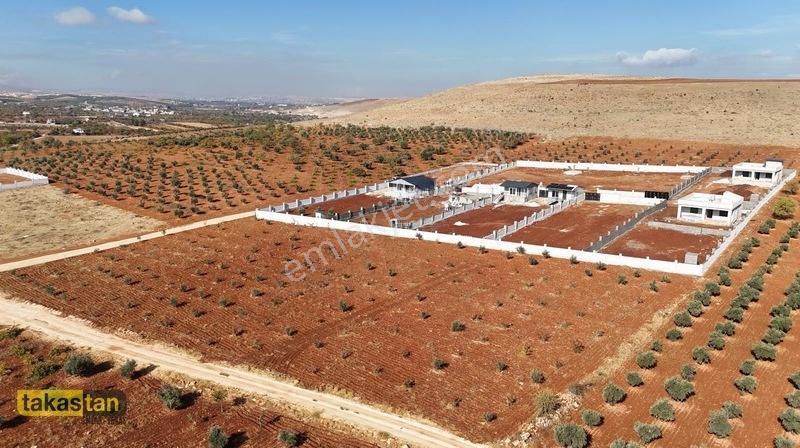 Suboğazı İmar Yakını Etrafı Çevrili Şehre 10 Dk Fırsat Arazi — fotoğraf 19