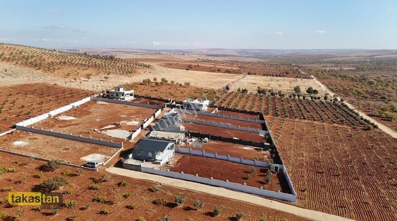 Suboğazı İmar Yakını Etrafı Çevrili Şehre 10 Dk Fırsat Arazi — fotoğraf 28