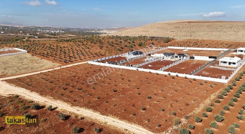Suboğazı İmar Yakını Etrafı Çevrili Şehre 10 Dk Fırsat Arazi — fotoğraf 32