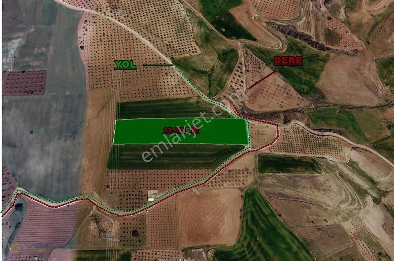 Yazıbağı Köyün'De Tek Tapu Satılık Tarla