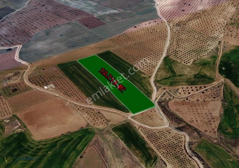 Yazıbağı Köyün'de Tek Tapu Satılık Tarla — fotoğraf 2