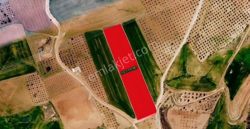 Yazıbağı Köyün'de Tek Tapu Satılık Tarla — fotoğraf 4