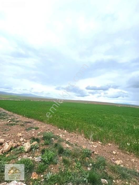 Eskişehir Seyitgazi^De Yatırımlık Fırsat 34311 M2 Arsa Tarla*
