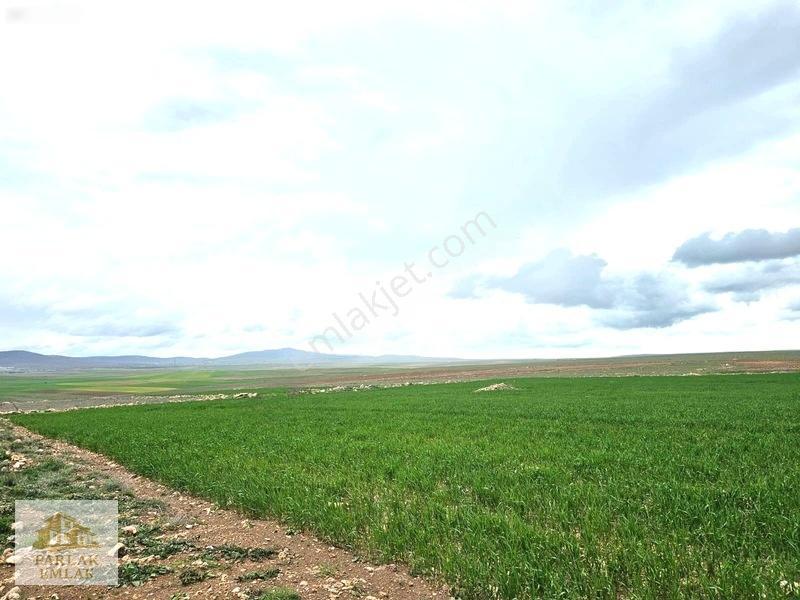 Eskişehir Seyitgazi^de Yatırımlık Fırsat 34311 M2 Arsa Tarla* — fotoğraf 2