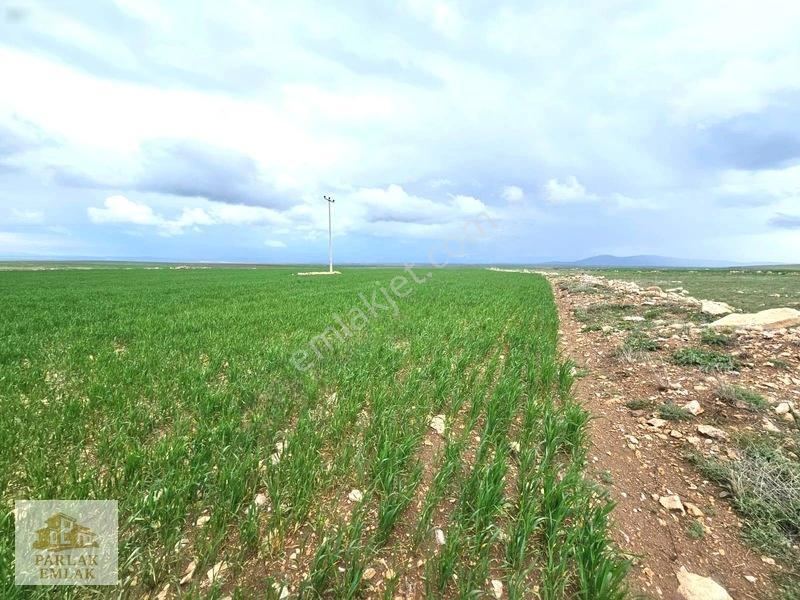 Eskişehir Seyitgazi^de Yatırımlık Fırsat 34311 M2 Arsa Tarla* — fotoğraf 3