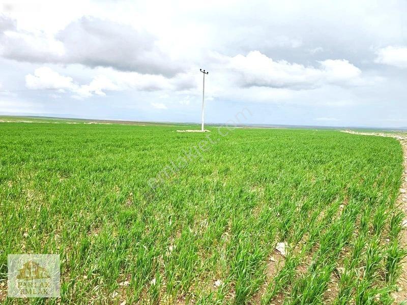 Eskişehir Seyitgazi^de Yatırımlık Fırsat 34311 M2 Arsa Tarla* — fotoğraf 4