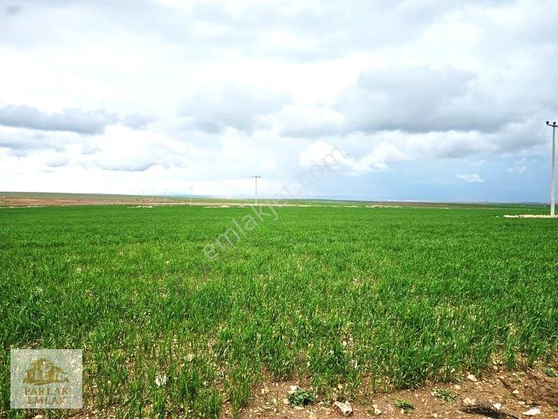Eskişehir Seyitgazi^de Yatırımlık Fırsat 34311 M2 Arsa Tarla* — fotoğraf 5
