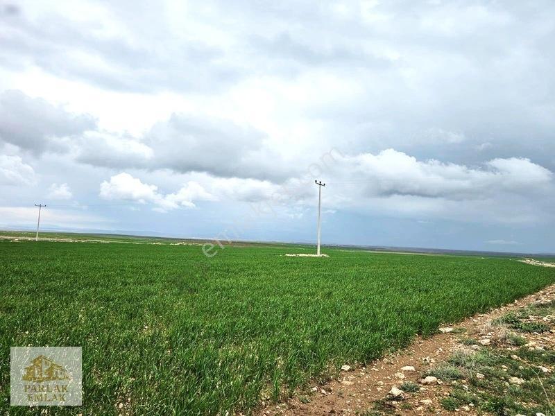 Eskişehir Seyitgazi^de Yatırımlık Fırsat 34311 M2 Arsa Tarla* — fotoğraf 6