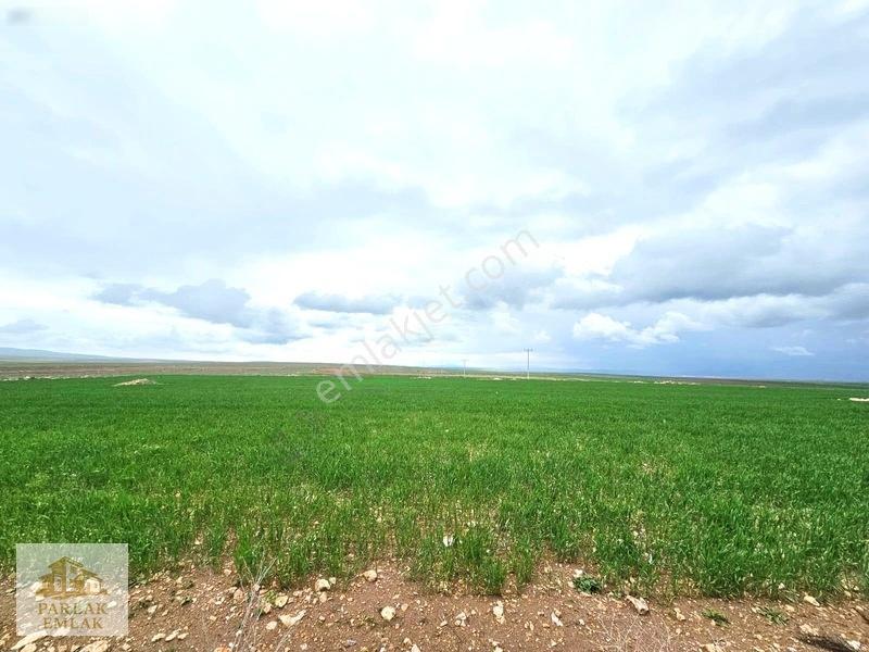 Eskişehir Seyitgazi^de Yatırımlık Fırsat 34311 M2 Arsa Tarla* — fotoğraf 7