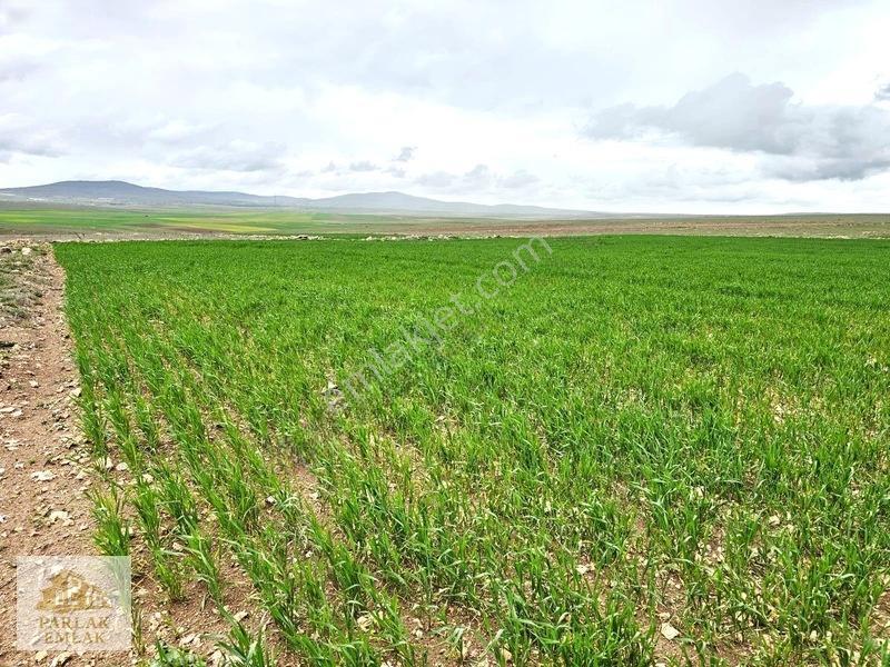 Eskişehir Seyitgazi^de Yatırımlık Fırsat 34311 M2 Arsa Tarla* — fotoğraf 8