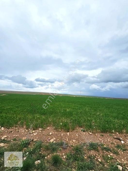 Eskişehir Seyitgazi^de Yatırımlık Fırsat 34311 M2 Arsa Tarla* — fotoğraf 9