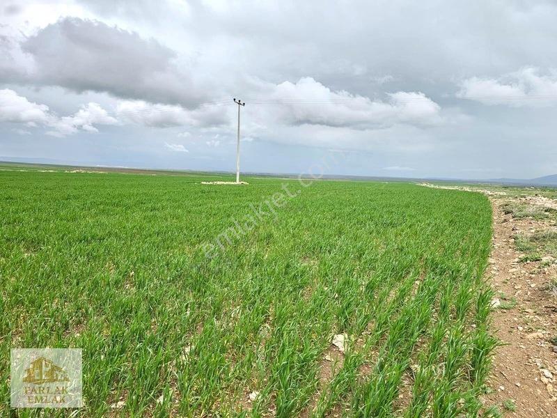 Eskişehir Seyitgazi^de Yatırımlık Fırsat 34311 M2 Arsa Tarla* — fotoğraf 10