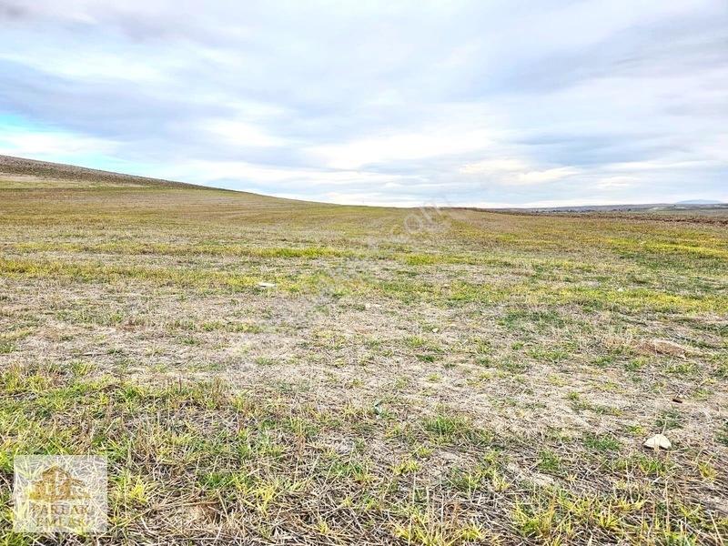 Eskişehir Seyitgazi^de Yatırımlık Fırsat 34311 M2 Arsa Tarla* — fotoğraf 11