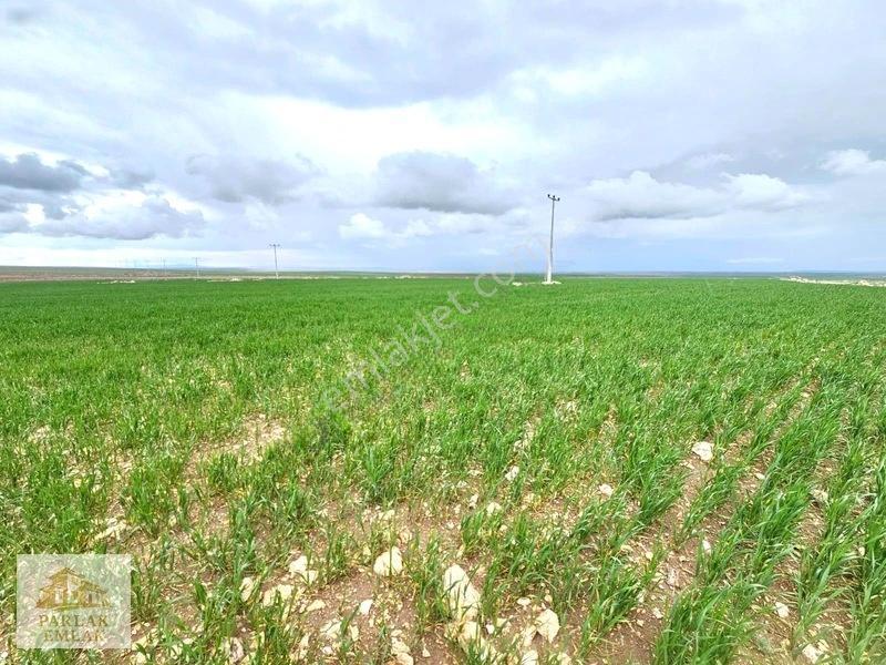 Eskişehir Seyitgazi^de Yatırımlık Fırsat 34311 M2 Arsa Tarla* — fotoğraf 12