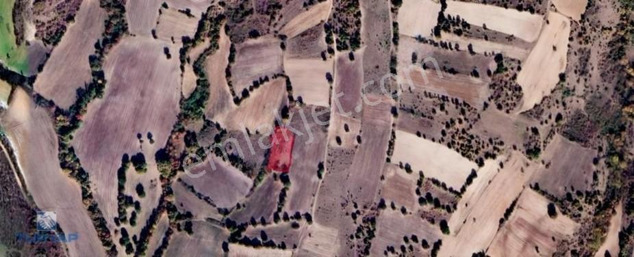 Kırklareli Merkez Yündalan'da Yatırıma Uygun Satılık Tarla — fotoğraf 3