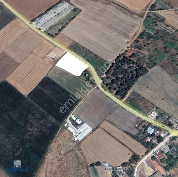 Biga Çınarköprüde 2.820 M² Satılık Yatırımlık Tarla — fotoğraf 4